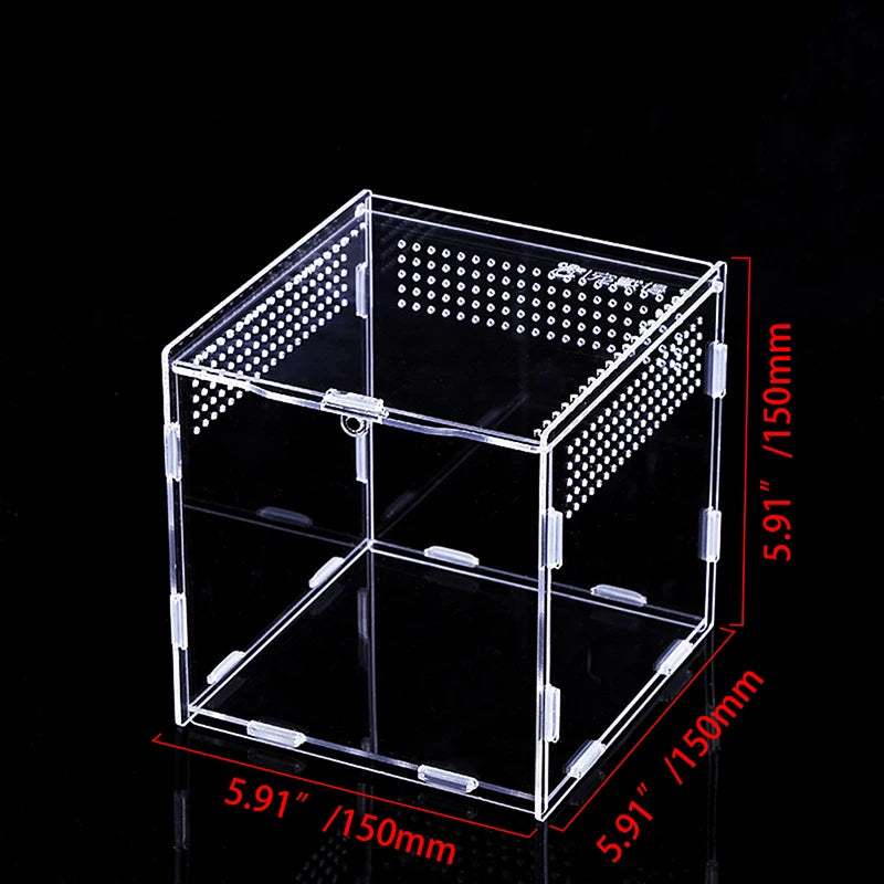 clear acrylic reptile breeding box