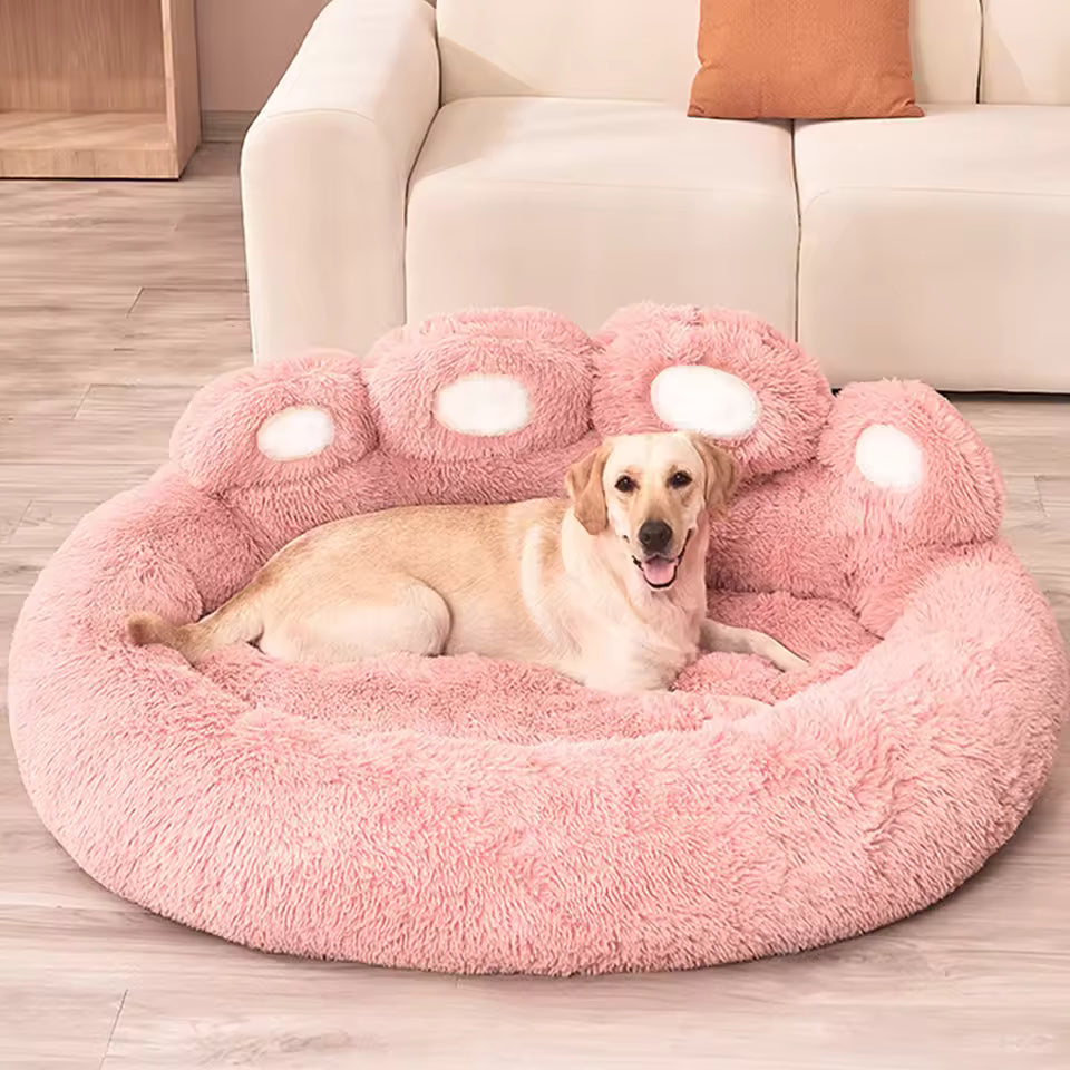 pawzzz bed