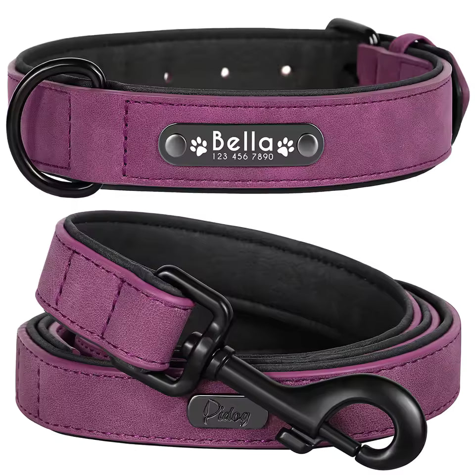 custom leather collar & leash set