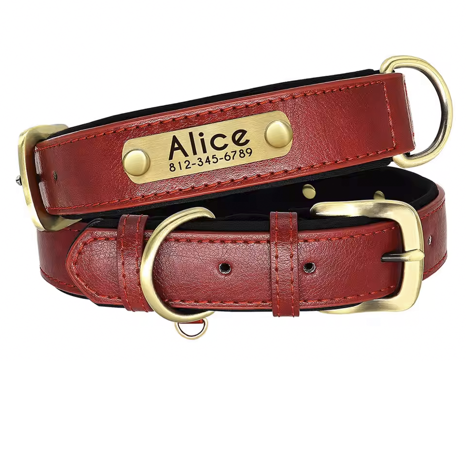 custom leather numerplate collar