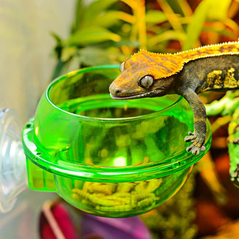 reptile anti-escape live insect feeder bowl