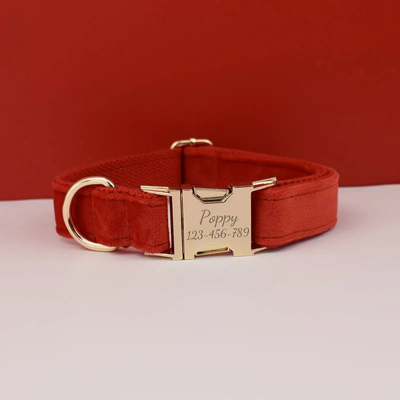 luxury personalised dog collar, harness & leash set