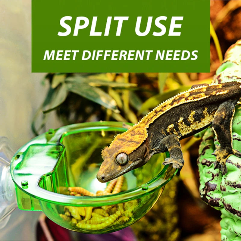 reptile anti-escape live insect feeder bowl