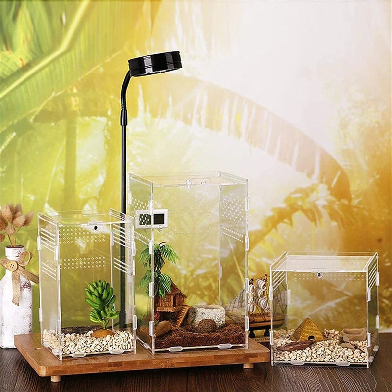 clear acrylic reptile breeding box