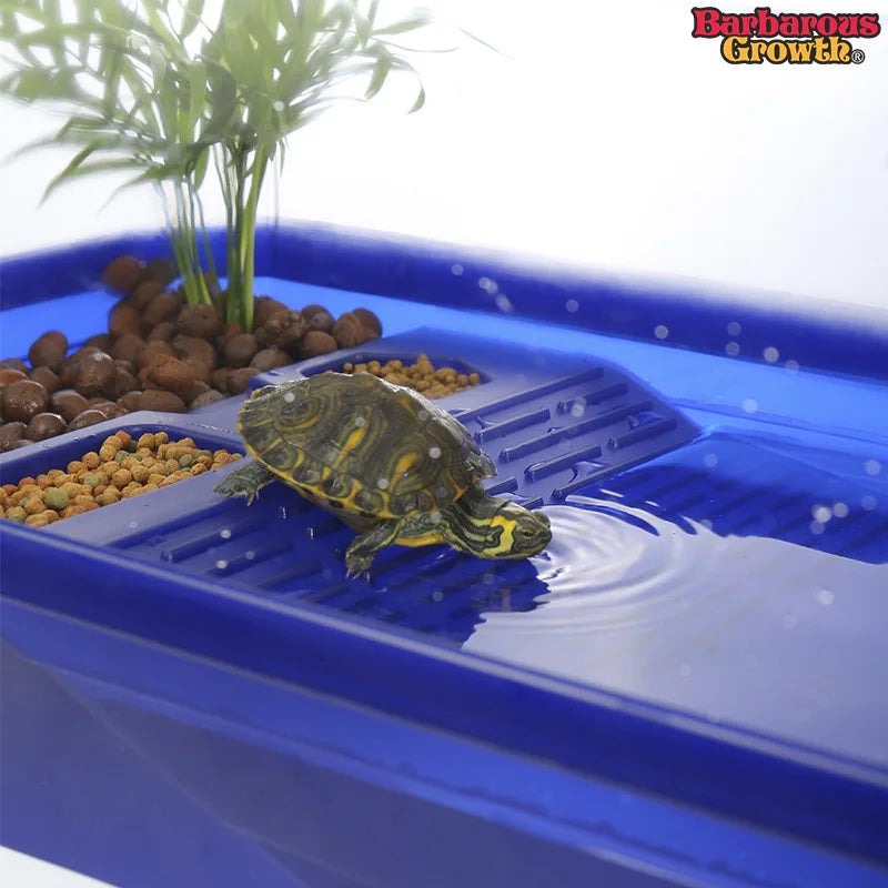 transparent turtle tank habitat