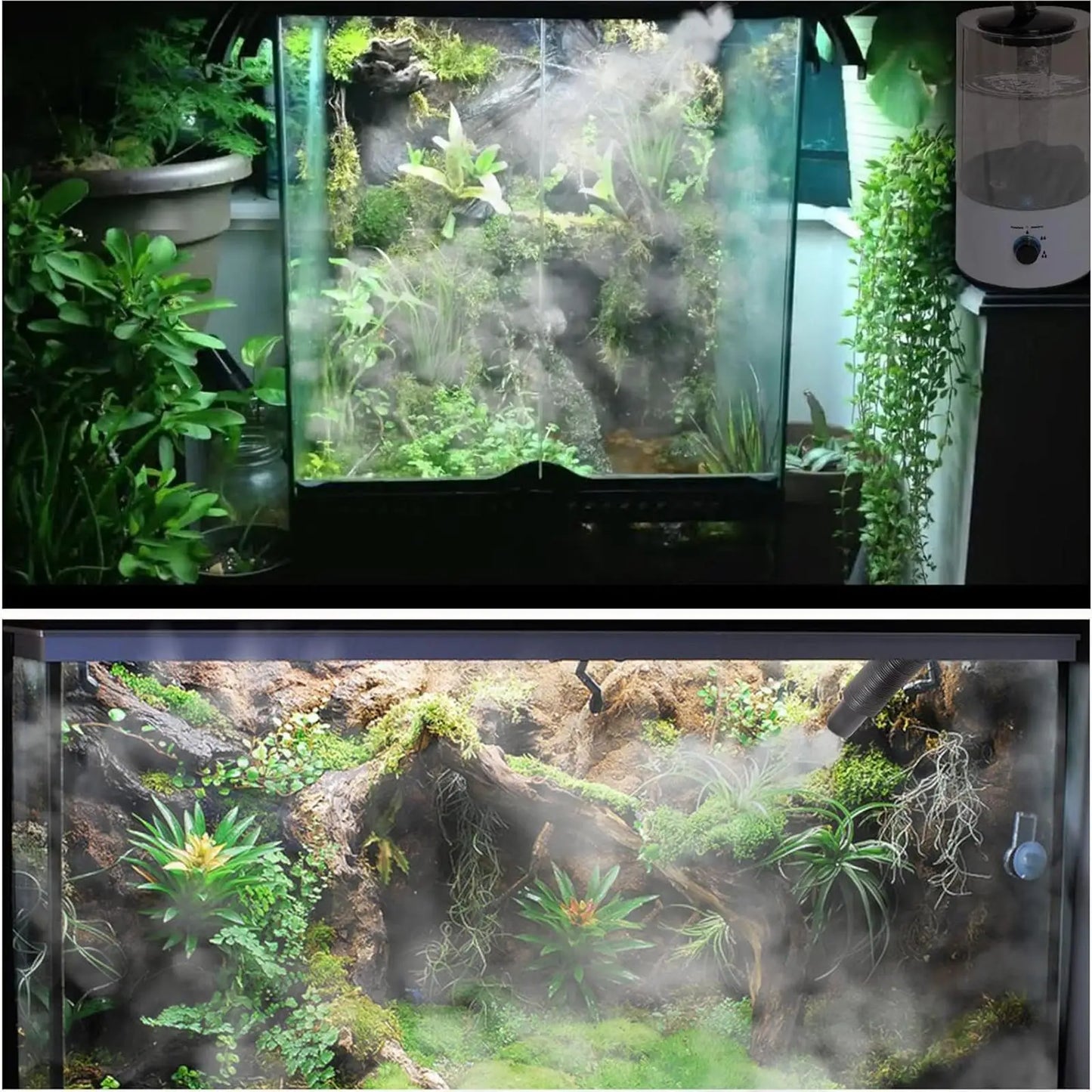 4l reptile humidifier terrarium fogger