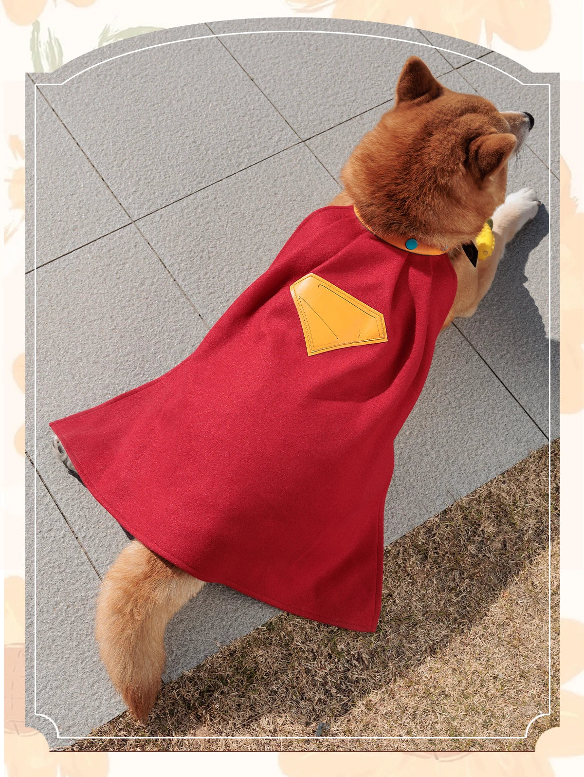 krypto the superdog pet costume