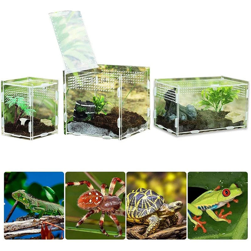 clear acrylic reptile breeding box
