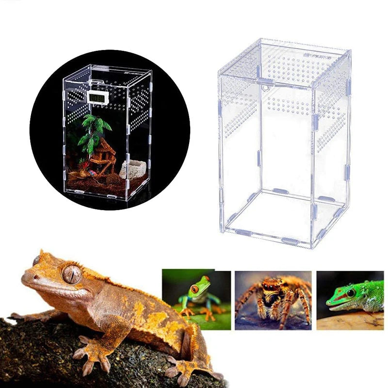 clear acrylic reptile breeding box