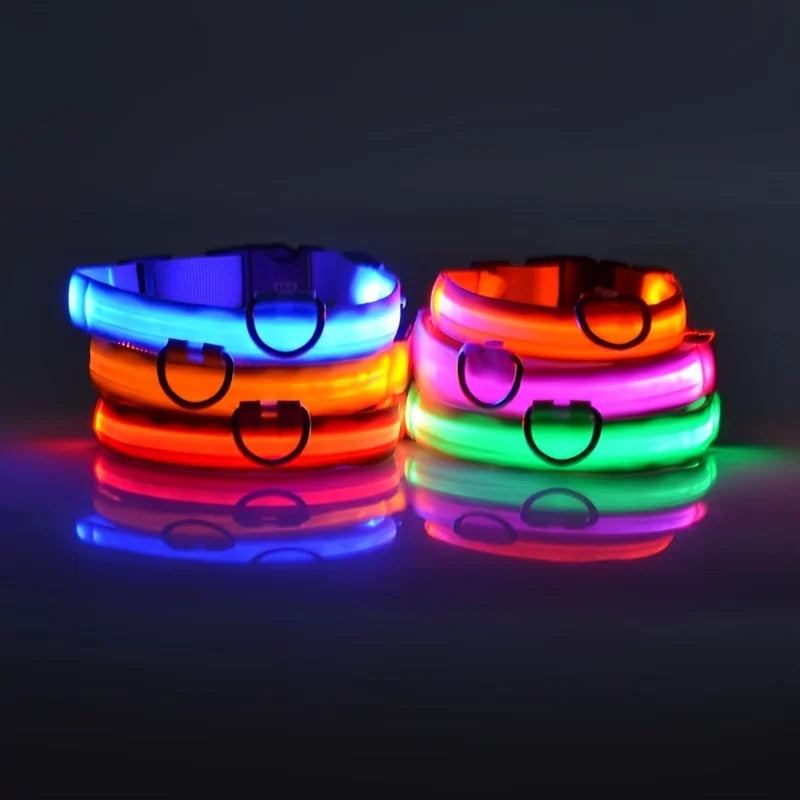 nylon led night safety pet collar