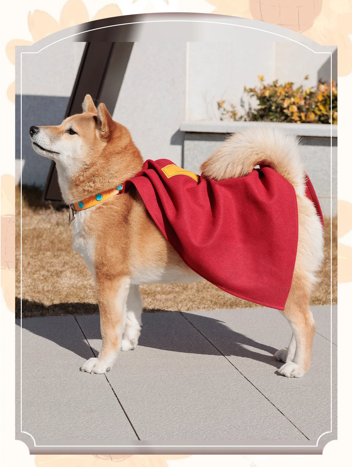 krypto the superdog pet costume