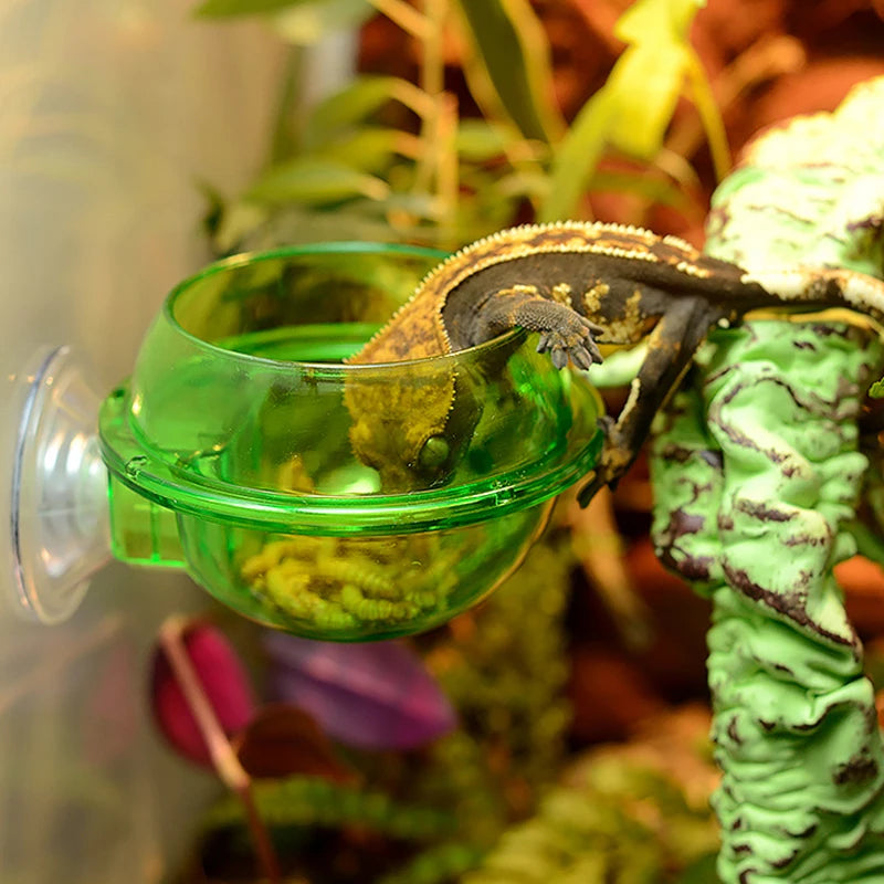 reptile anti-escape live insect feeder bowl