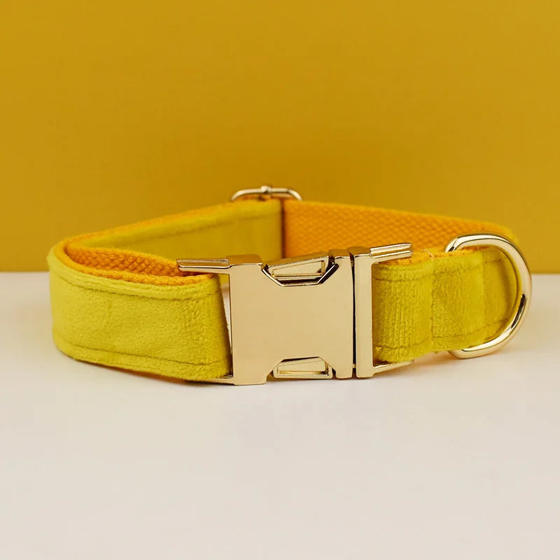 luxury personalised dog collar, harness & leash set