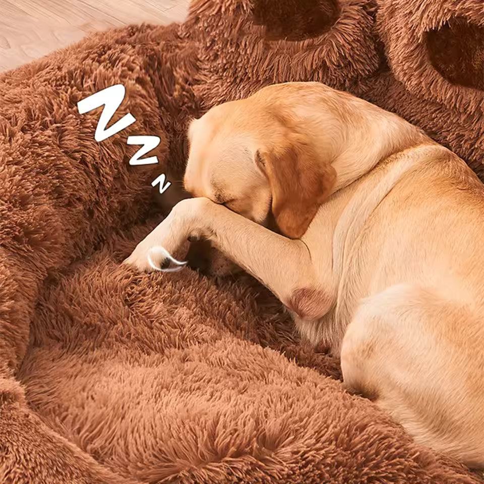 pawzzz bed