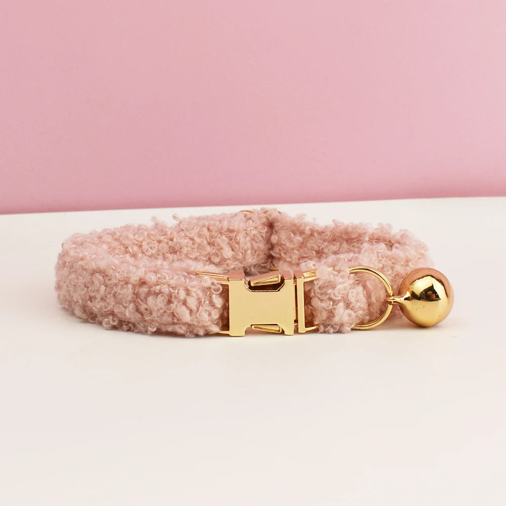 teddy cat collar with custom name plate