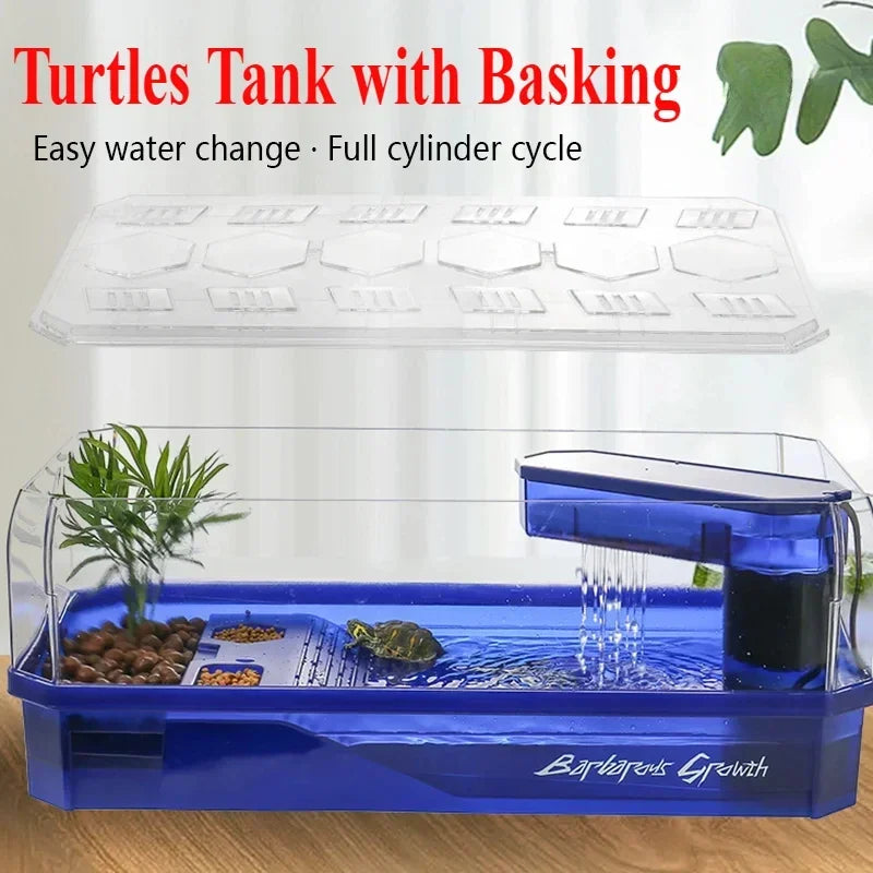 transparent turtle tank habitat