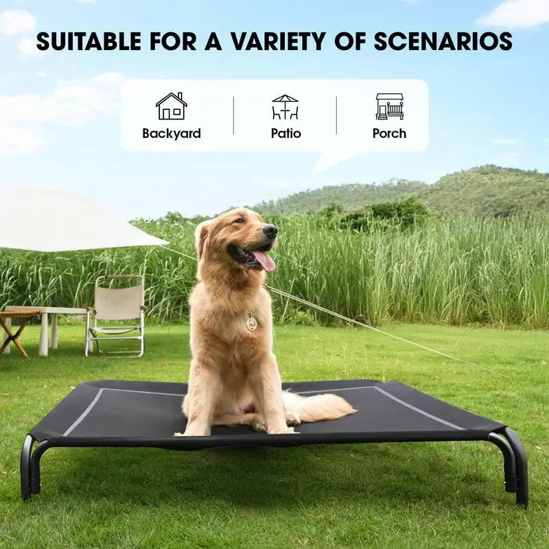 elevated dog bed