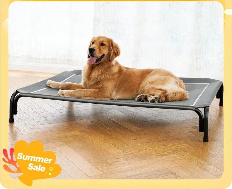 elevated dog bed