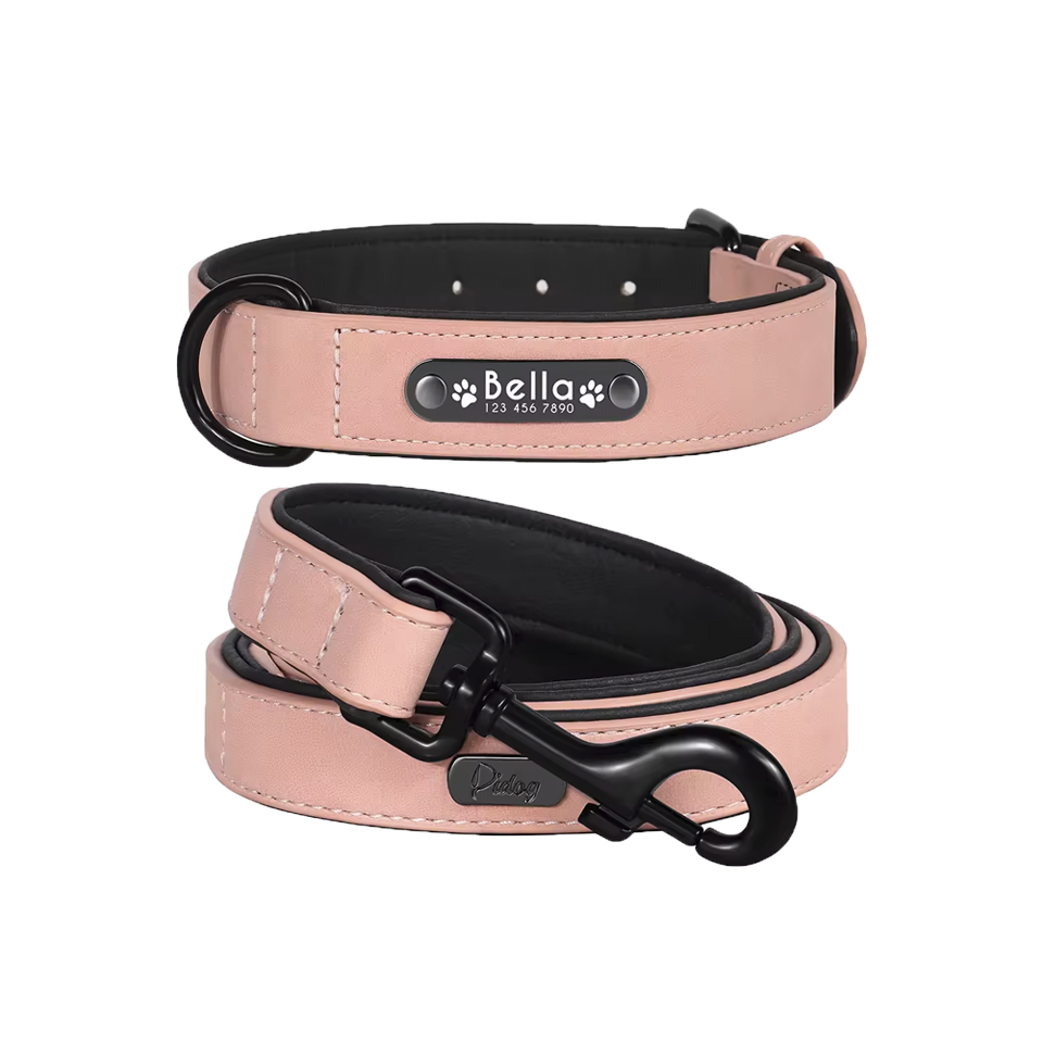 custom leather collar & leash set