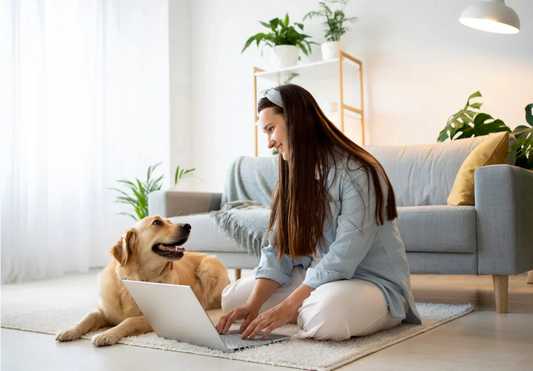 5 Must-Know Tips for Dog Owners This Winter