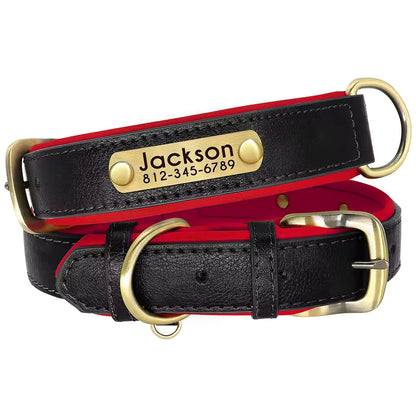 Custom Leather Numerplate Collar