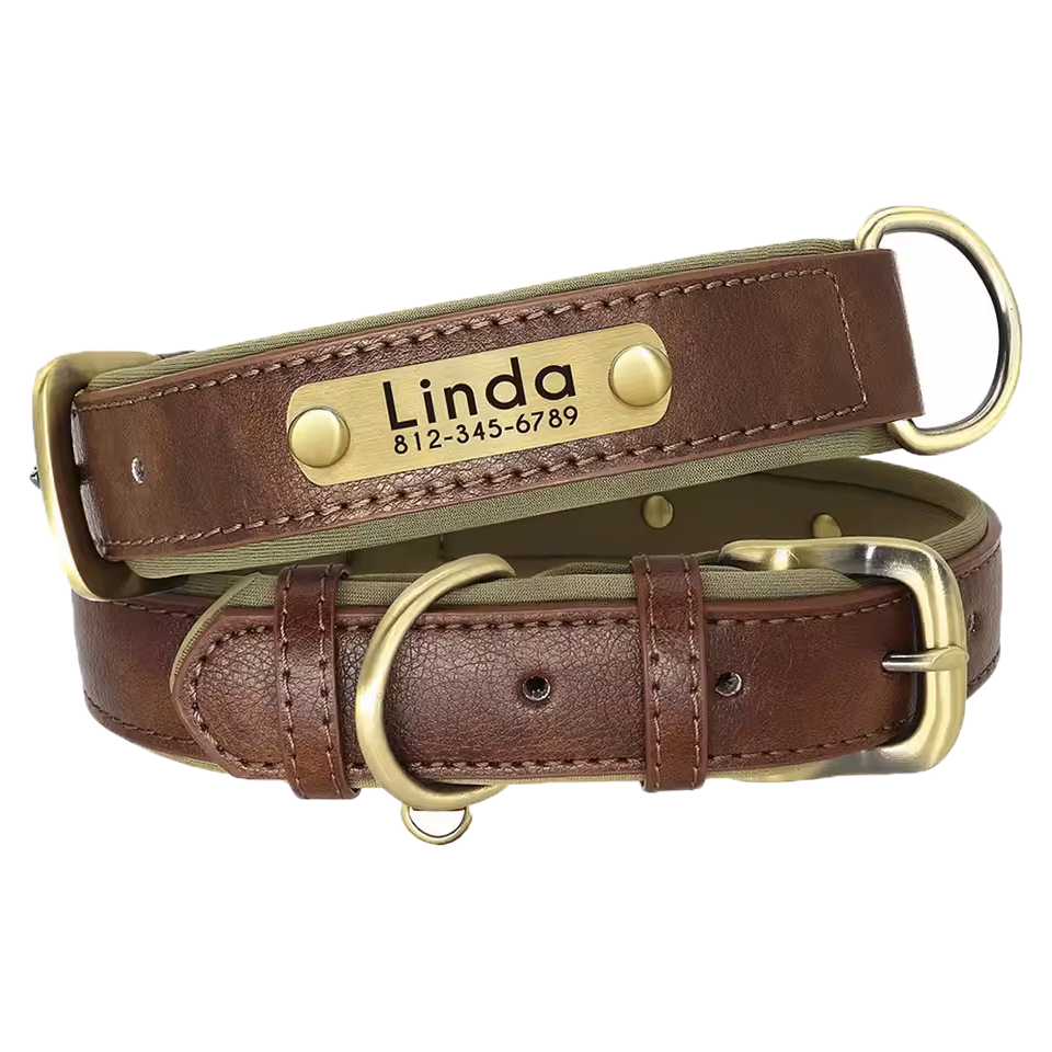 custom leather numerplate collar