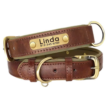 Custom Leather Numerplate Collar