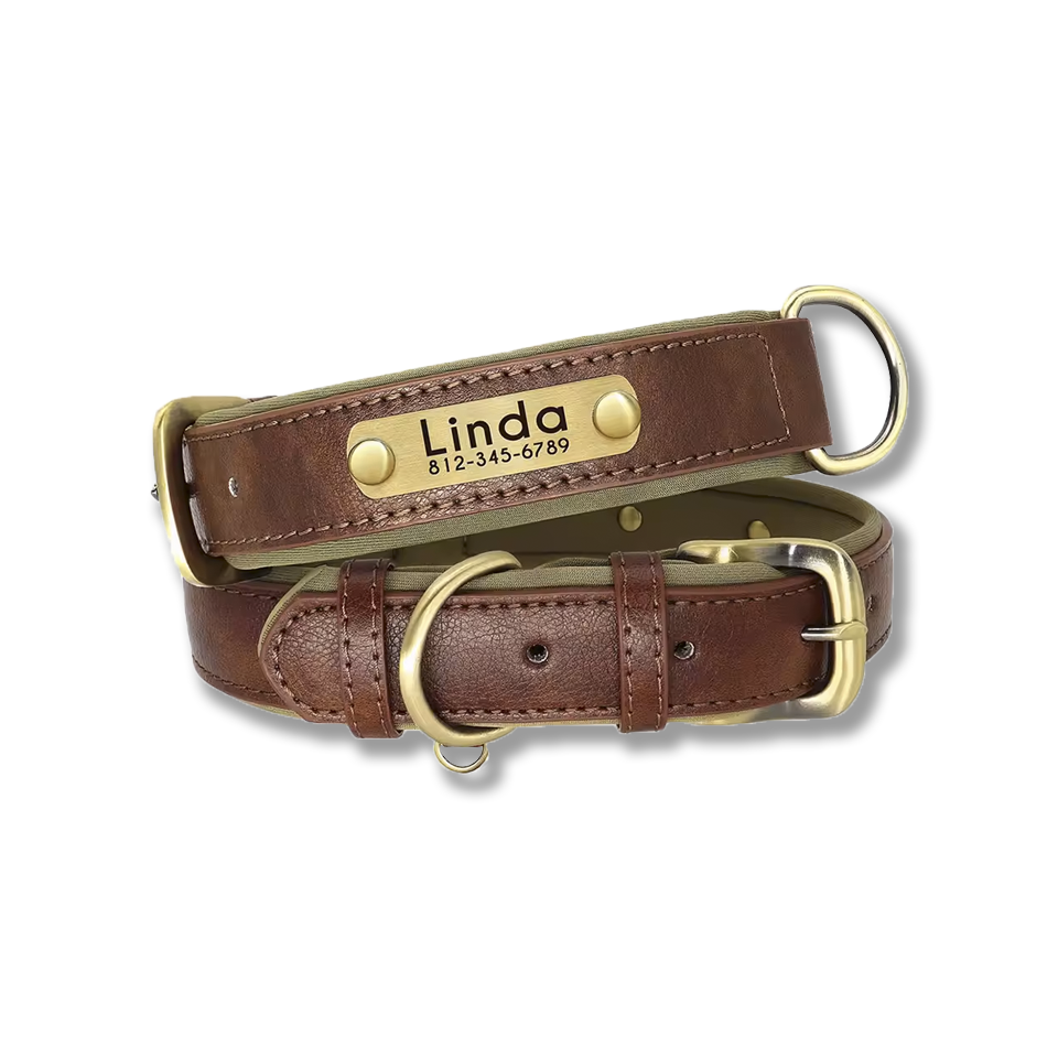 custom leather numerplate collar