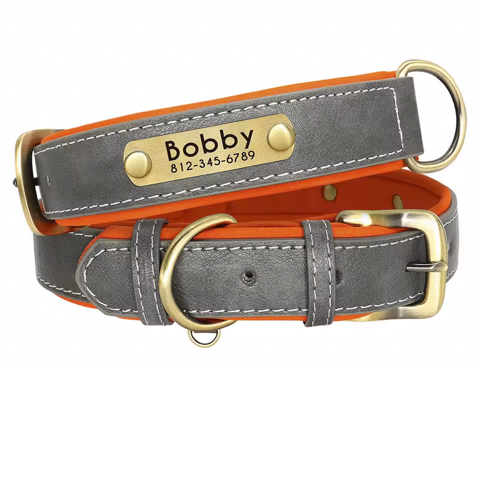 custom leather numerplate collar