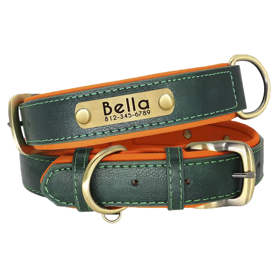 custom leather numerplate collar
