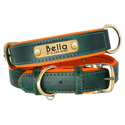 Custom Leather Numerplate Collar