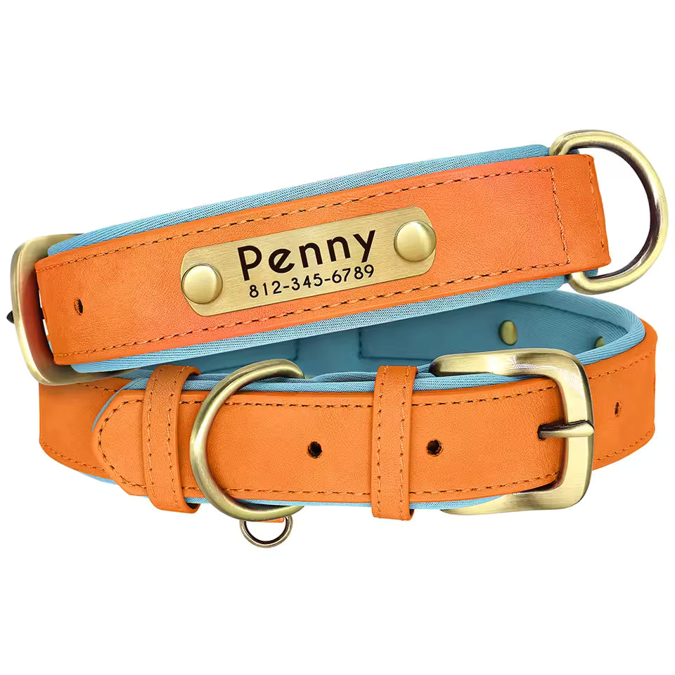 custom leather numerplate collar