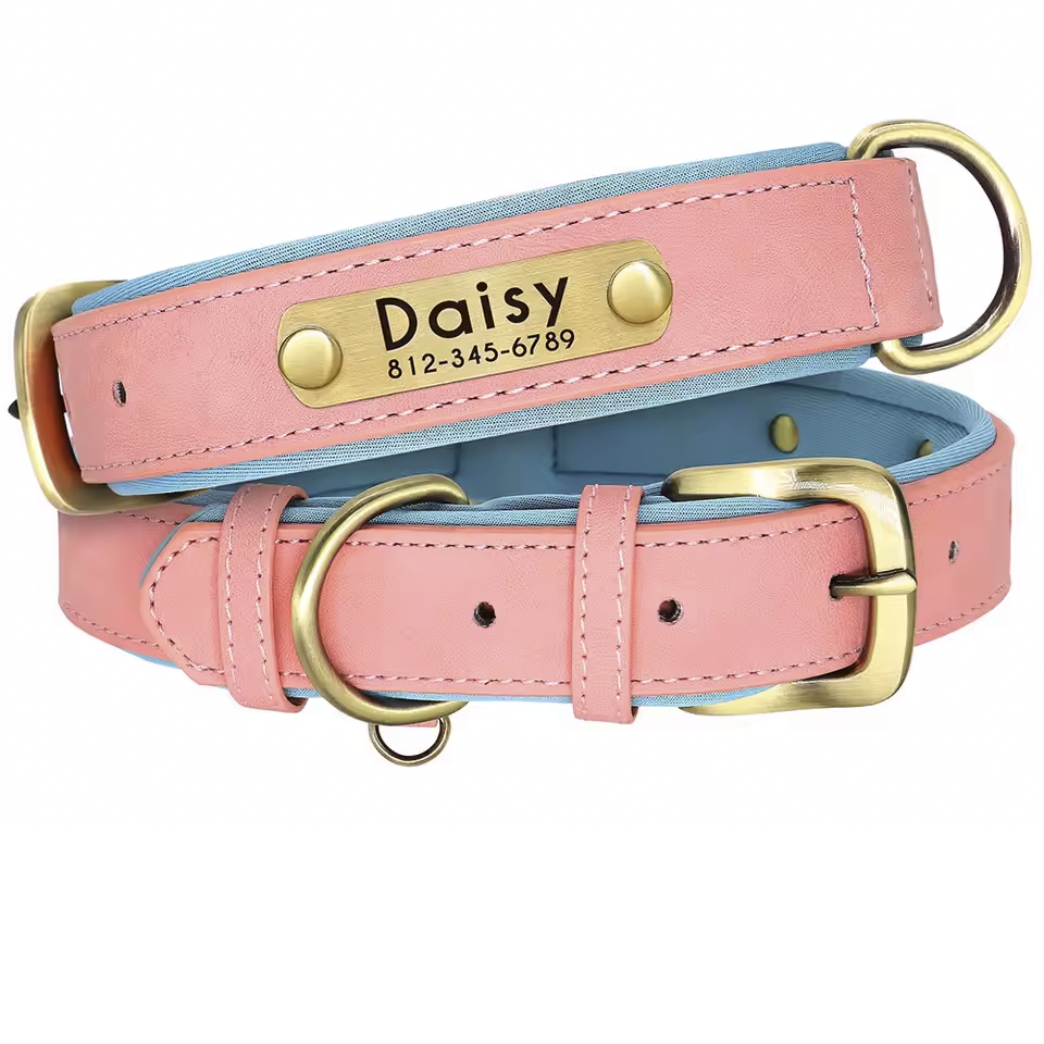 custom leather numerplate collar