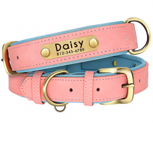 Custom Leather Numerplate Collar