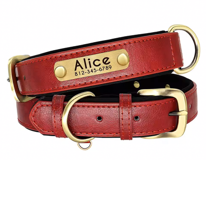 Custom Leather Numerplate Collar