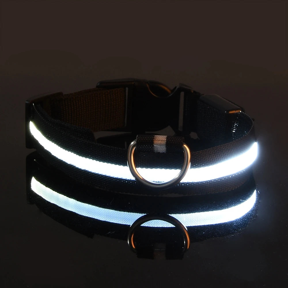 nylon led night safety pet collar