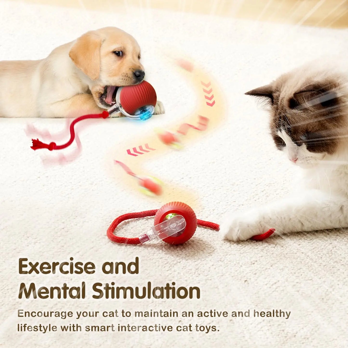 interactive cat ball toy (automatic)