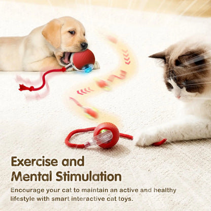 Interactive Cat Ball Toy (Automatic)