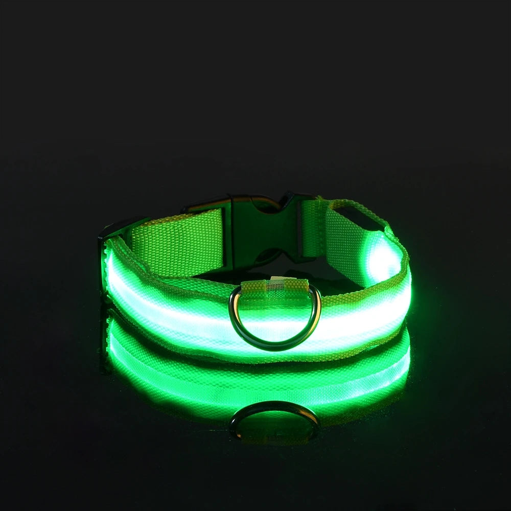 nylon led night safety pet collar
