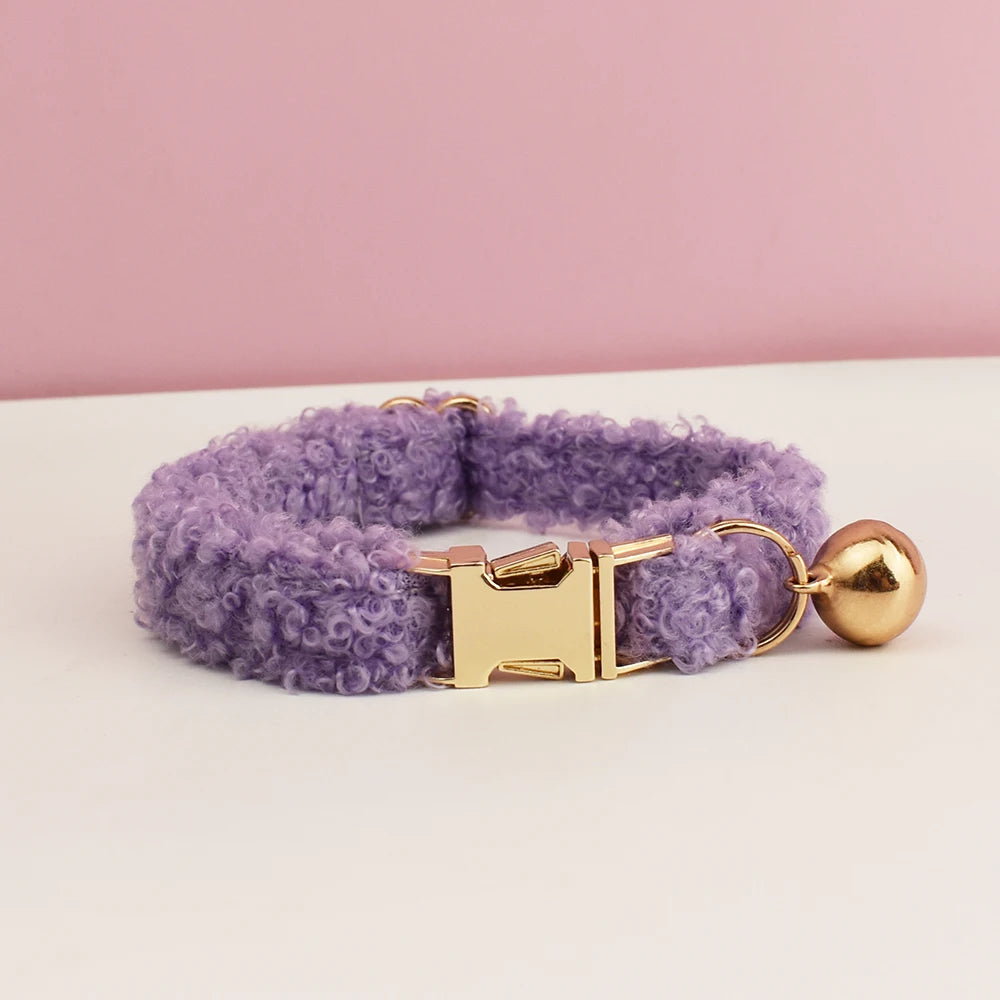 teddy cat collar with custom name plate