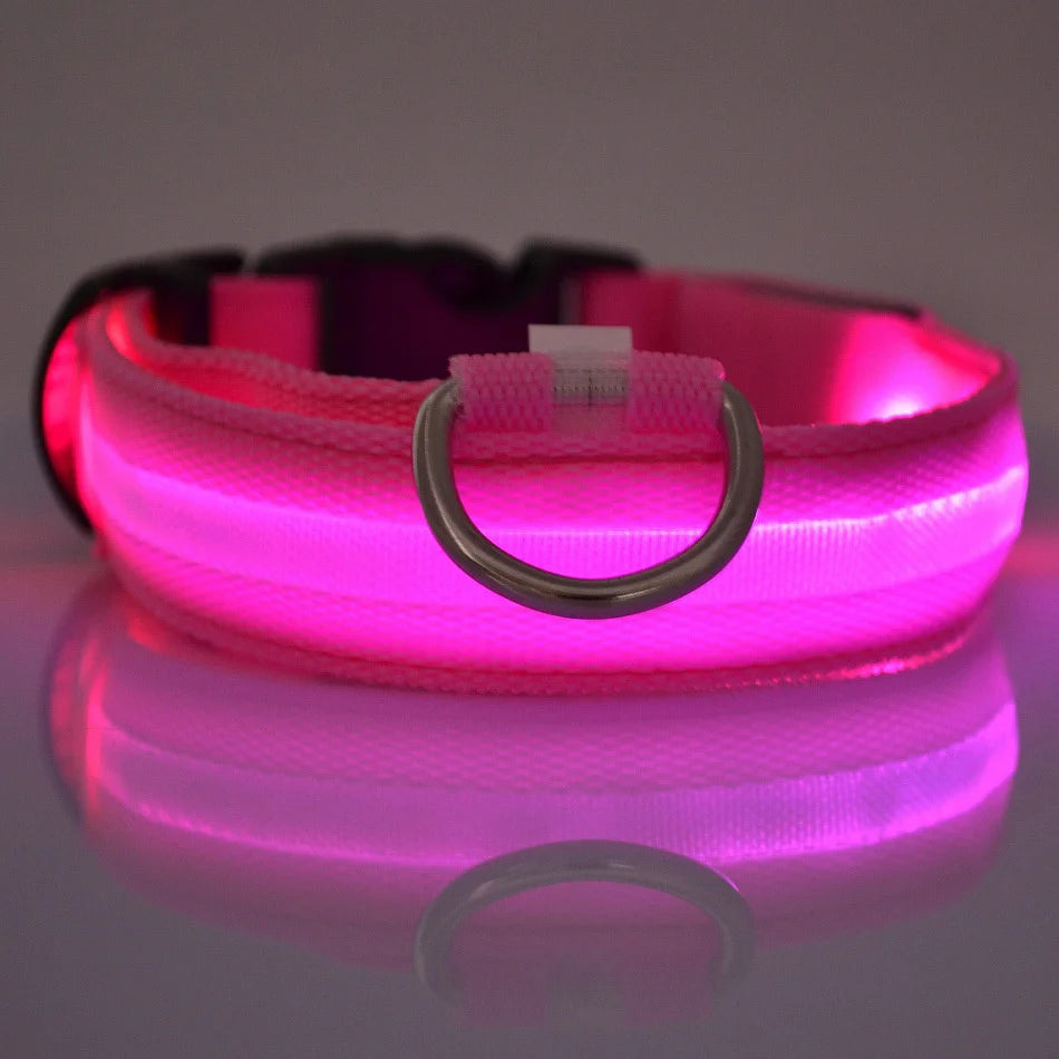 nylon led night safety pet collar
