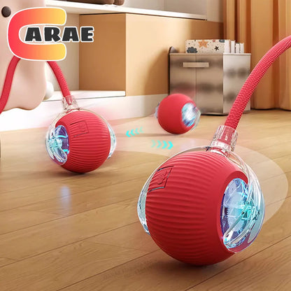 Interactive Cat Ball Toy (Automatic)