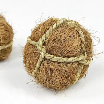 Chewing Braided Balls
