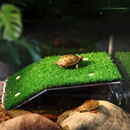 Turtle Basking Platform Float