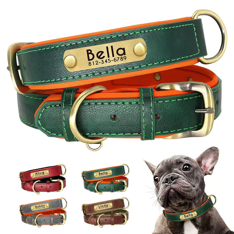 custom leather numerplate collar