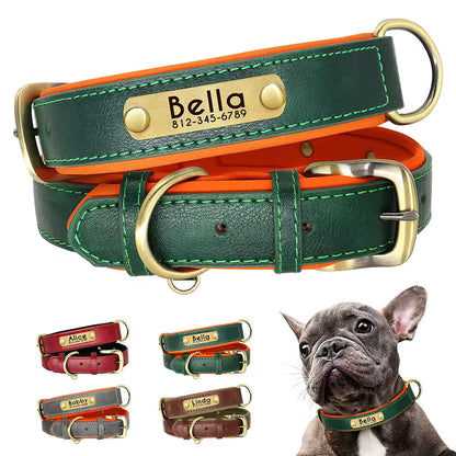Custom Leather Numerplate Collar