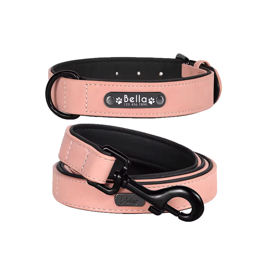 Custom Leather Collar & Leash Set